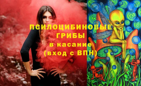 крисы Богданович